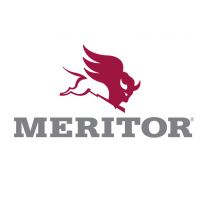 Meritor Brake shoe lined ass