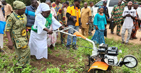 Hands-on presentation of Stihl equipment for small farms
